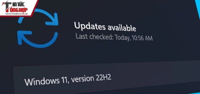 Quy trình sử dụng vô cùng đơn giản