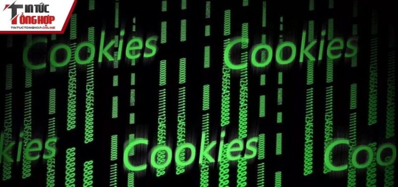 Trang web sử dụng cookie để mã hóa dữ liệu người chơi
