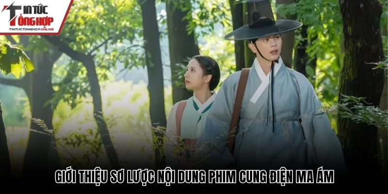 Tóm tắt nội dung phim 