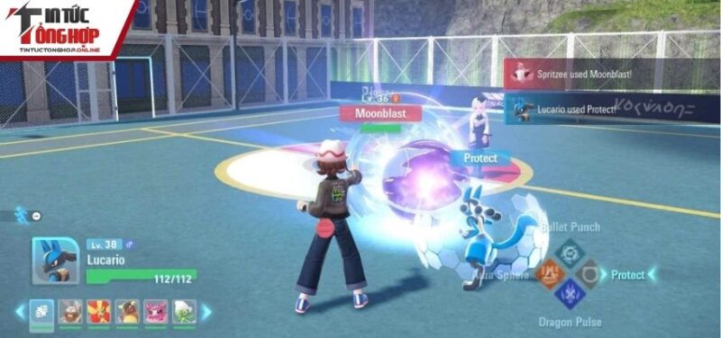 Lựa chọn vật phẩm phù hợp khi chơi Pokemon