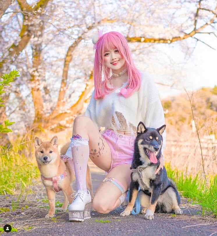 Vì sao Canniny được tìm kiếm nhiều?